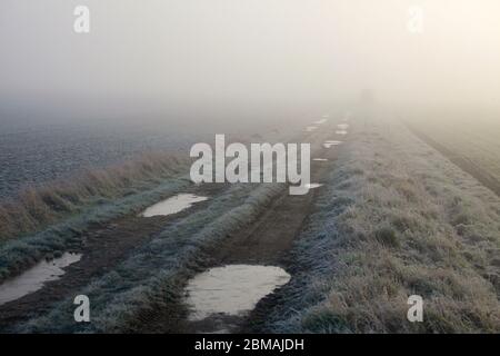 An icy farm track with puddles of water on a foggy winter day Stock Photo