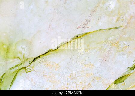 Green abstract background. Modern art. Natural pattern, luxury. Abstract artwork, trendy style. Stock Photo