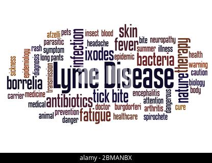 Lyme disease word cloud concept on white background. Stock Photo