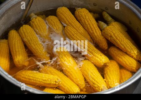 Fresh corn is cooked in a metal pan. Close-up Stock Photo