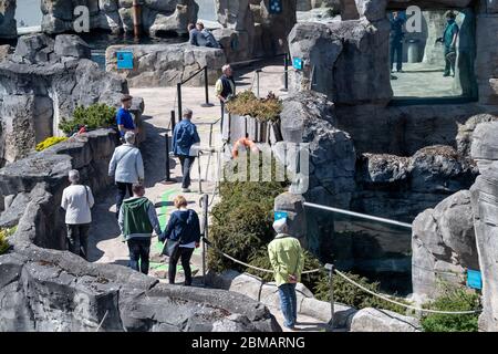 Bremerhaven, Germany. 08th May, 2020. A girl looks at the penguin ...