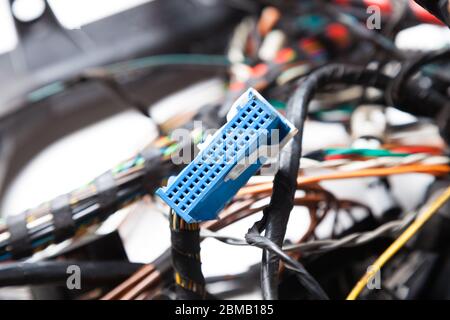 Close-up blue connector on the background of tangled wires and digital channels. The connecting Internet network of an IT developer on a remote site. Stock Photo