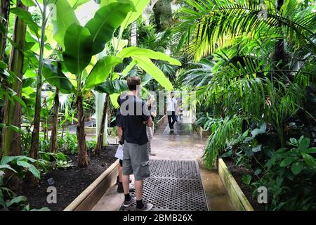 KEW, UK - JULY 15, 2019: People visit Palm House of Kew Gardens in Greater London. Royal Botanic Gardens are designated as UNESCO World Heritage Site. Stock Photo