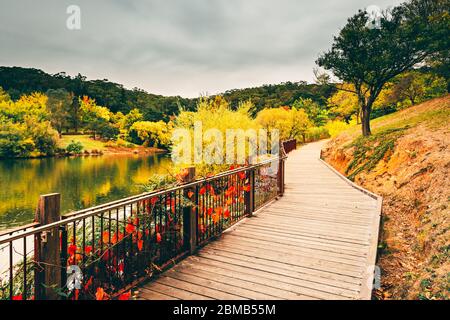 Scenic boardwalk around the pond at Mount Lofty botanic garden during autumn season, Adelaide Hills, South Australia Stock Photo