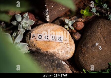 Focus in block letters Stock Photo