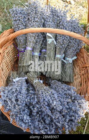 Group of delicate dried lavender bouquets with lila textile material, displayed for sale at an weekend deco fair for handmade artisans, selective focu Stock Photo