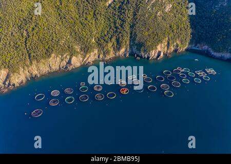 Floting Farm Aerial view of a fish farm structure with floating cages and a small ...