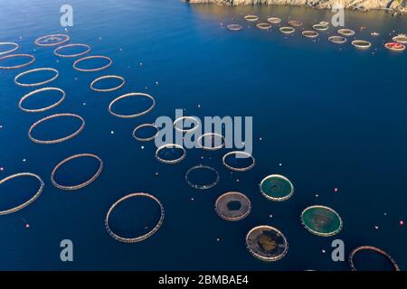 Floting Farm Aerial view of a floating fish farm with wooden structures and net ...
