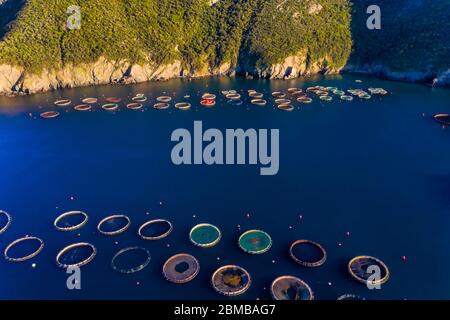 Floting Farm Aerial view of aquaculture fish farm cages floating in turquoise water ...