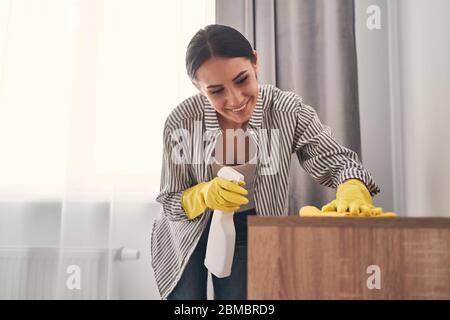Positive delighted young female cleaning her furniture Stock Photo