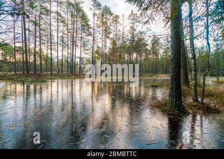 Lake at Viru Raba or bog swamp at Lahemaa national park in autumn Stock Photo