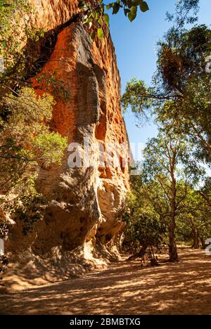 WINDJANA GORGE NATIONAL PARK, KIMBERELY, WESTERN AUSTRALIA, AUSTRALIA Stock Photo