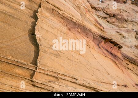 Lace rock in South Coyote Buttes Stock Photo