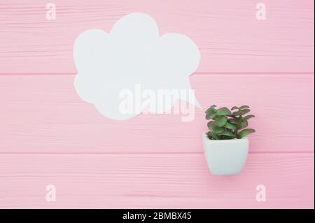Close-up view of white blank speech bubble with green plant in pot on pink wooden background Stock Photo