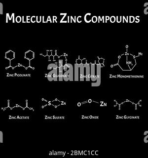 Molecular compounds of zinc. The chemical formula is picolinate, citrate, acetate, monomethionine, sulfate, oxide, zinc glycinate. Infographics Stock Vector