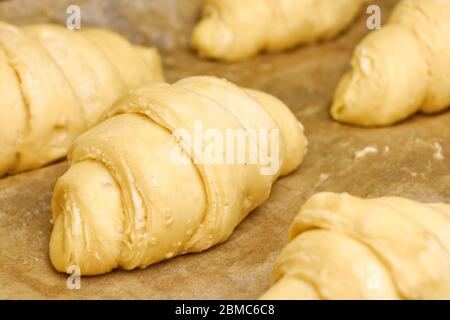 Producing of classic croissants from rolled layered dough. at home. Raw classic crescent rolls on a baking paper. Traditional french pastry Stock Photo