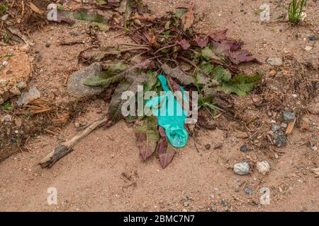 A blue rubber latex glove used and worn for protection from the coronavirus pandemic dumped on the ground alongside the road polluting the environment Stock Photo