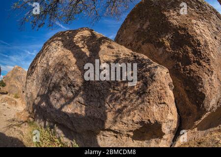 Oak tree limb and shadows on the volcanic rock formations of City of Rocks State Park, located between Silver City and Deming in the Chihuahuan Desert Stock Photo