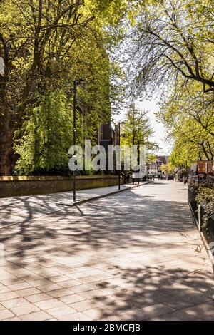 Eindhoven, The Netherlands, April 21st 2020. A street in the center of Eindhoven with parked bicycles and greenery on a sunny day during corona time Stock Photo