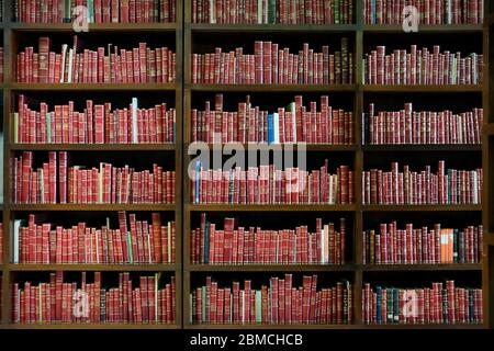 Close up of Library books, Mexico City, Mexico Stock Photo