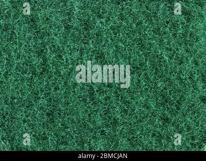 highly detailed green sponge fiber organic texture macro closeup Stock Photo