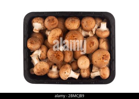 Download Fresh Little White Champignons In Blue Plastic Form Studio Photo Stock Photo Alamy Yellowimages Mockups