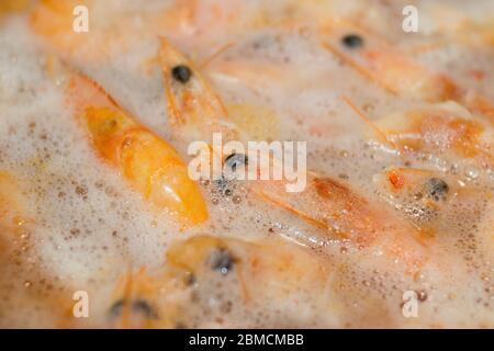 Close-up of shrimp being cooked in boiling water. Pink and orange colors indicate that the crustaceans are fully cooked and ready to be consumed. Stock Photo