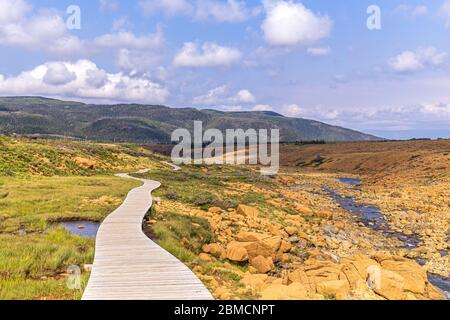 Boardwalk on Tablelands Trail, Gros Morne National Park, Newfoundland and Labrador, Canada Stock Photo