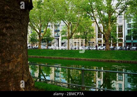 View of Düsseldorf's number one shopping boulevard "Königsallee" with water reflection in city canal and old trees. Blurred old tree in foreground. Stock Photo