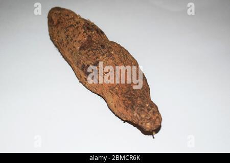 Close up of Yam tuber roots yam vegetable from India, one piece Isolated on white background Stock Photo