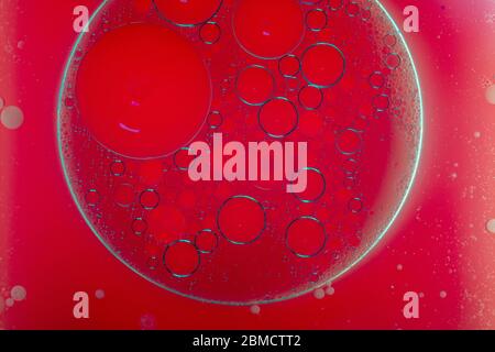 Circular shapes of seprerated oil bubbles on the surface of water - creative macro background Stock Photo