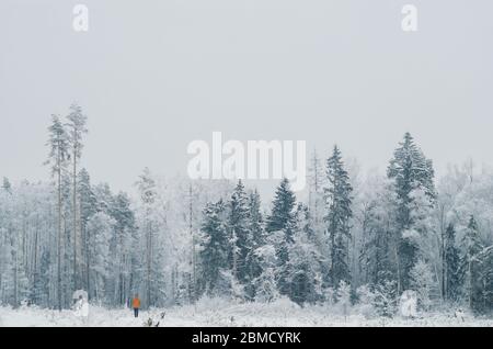 Person in orange jacket wandering alone into snowy, silent  forest on a cold and grey winter day. Outdoor adventure. Resilience. Stock Photo