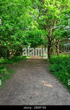 A Scenic Walk Thought Riverside Park In Horley Surrey In May Stock Photo Alamy