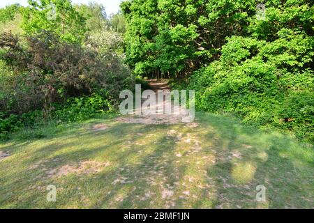 A Scenic Walk Thought Riverside Park In Horley Surrey In May Stock Photo Alamy