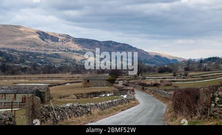 Traditional stone barns stand amid fields of sheep bound by dry stone walls in the valley of Dentdale under the fells of the Yorkshire Dales National Stock Photo