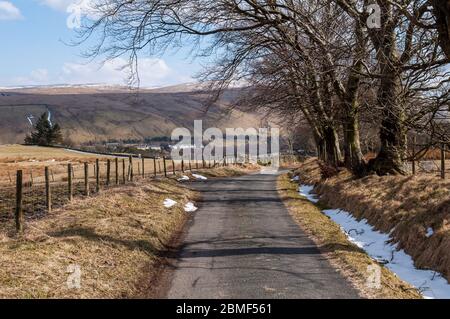 A narrow country lane, part of National Cycle Network route 68, runs through trees and fields above the Lune Gorge valley at Tebay in Cumbria. Stock Photo