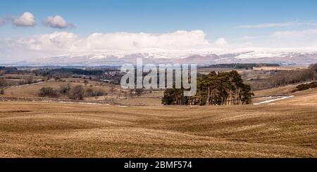 Sun shines on the rolling farmland landscape of the Eden Valley, under the snow-capped fells of the North Pennines. Stock Photo