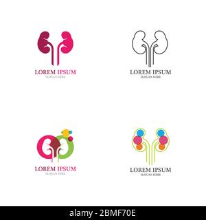kidney vector illusrtation design logo template Stock Vector