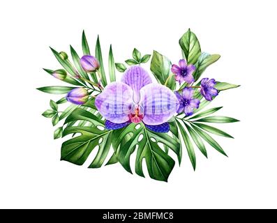Watercolor Orchid bouquet. Big purple flower and palm, monstera leaves. Hand painted floral tropical background. Botanical illustrations isolated on Stock Photo
