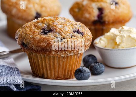 Closeup of a blueberry muffin and fresh berries on a white plate Stock Photo