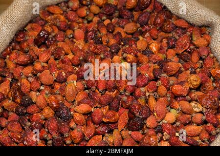 Dried rose hip or rosehip, also called rose haw and rose hep, is the accessory fruit of the rose plant. Stock Photo