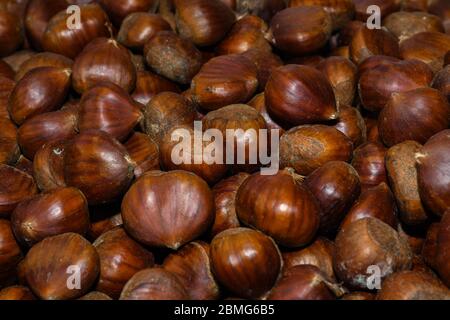 Ripe chestnuts close up. Raw Chestnuts for Christmas. Fresh sweet chestnut. Castanea sativa top wiew. Food background. Stock Photo