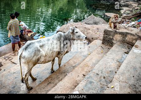 Ablutions and prayers along the Ram Ghat on Mandakini river of Chitrakut, Uttar Pradesh, India Stock Photo