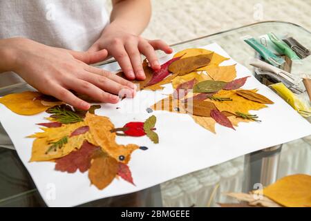 Girl makes an application from dry leaves. Children applique on the autumn theme. Hedgehogs and apple Stock Photo