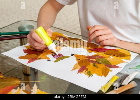 Girl makes an application from dry leaves. Children applique on the autumn theme. Hedgehogs and apple Stock Photo