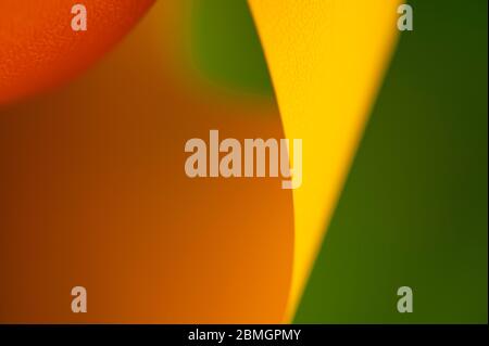 Abstract close-up of multicolored pinwheel. Stock Photo