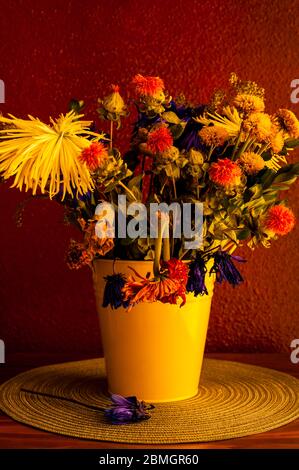 Wilting  flowers including mums,chrysanthemums,carnations in yellow bucket Stock Photo