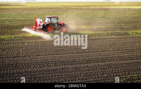 Tractor spraying pesticides on corn field  with sprayer at spring Stock Photo