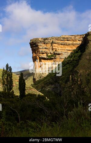 The golden colored Clarence Sandstone cliff of the Sentinel at the Golden Gate National park in the Drakensberg, South Africa Stock Photo