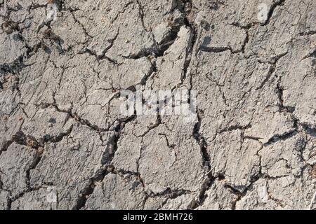 texture of dried out soil Stock Photo